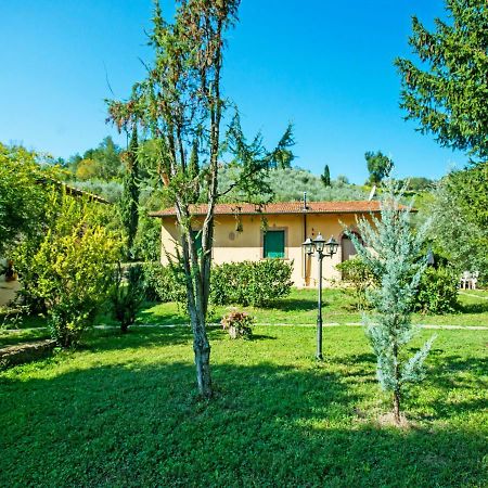 Apartment Il Gelsomino By Interhome La Collina Zewnętrze zdjęcie